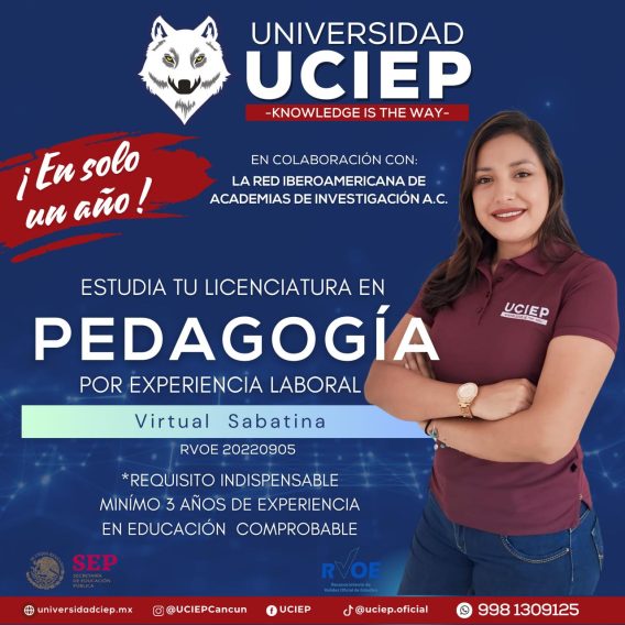 Pedagogía Experiencia Virtual